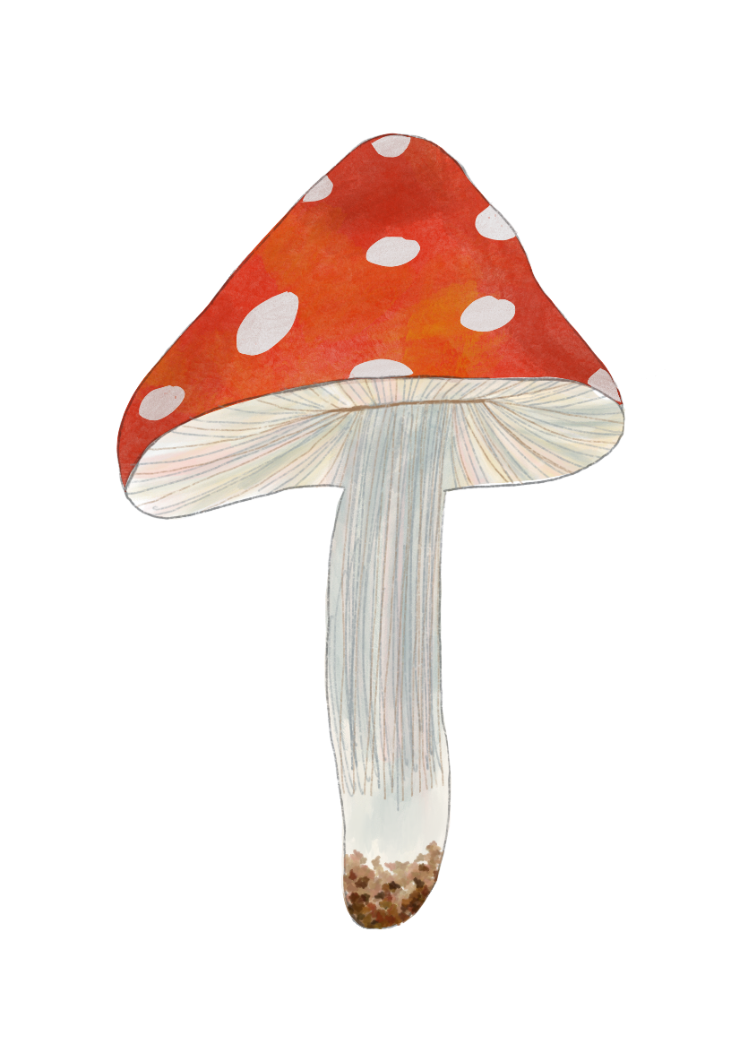 Mushroom Sticker