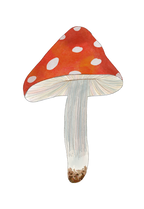 Mushroom Sticker